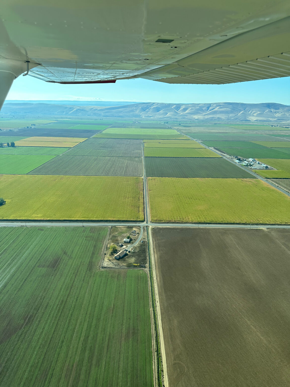 campos de lupulos cosecha yakima 2023