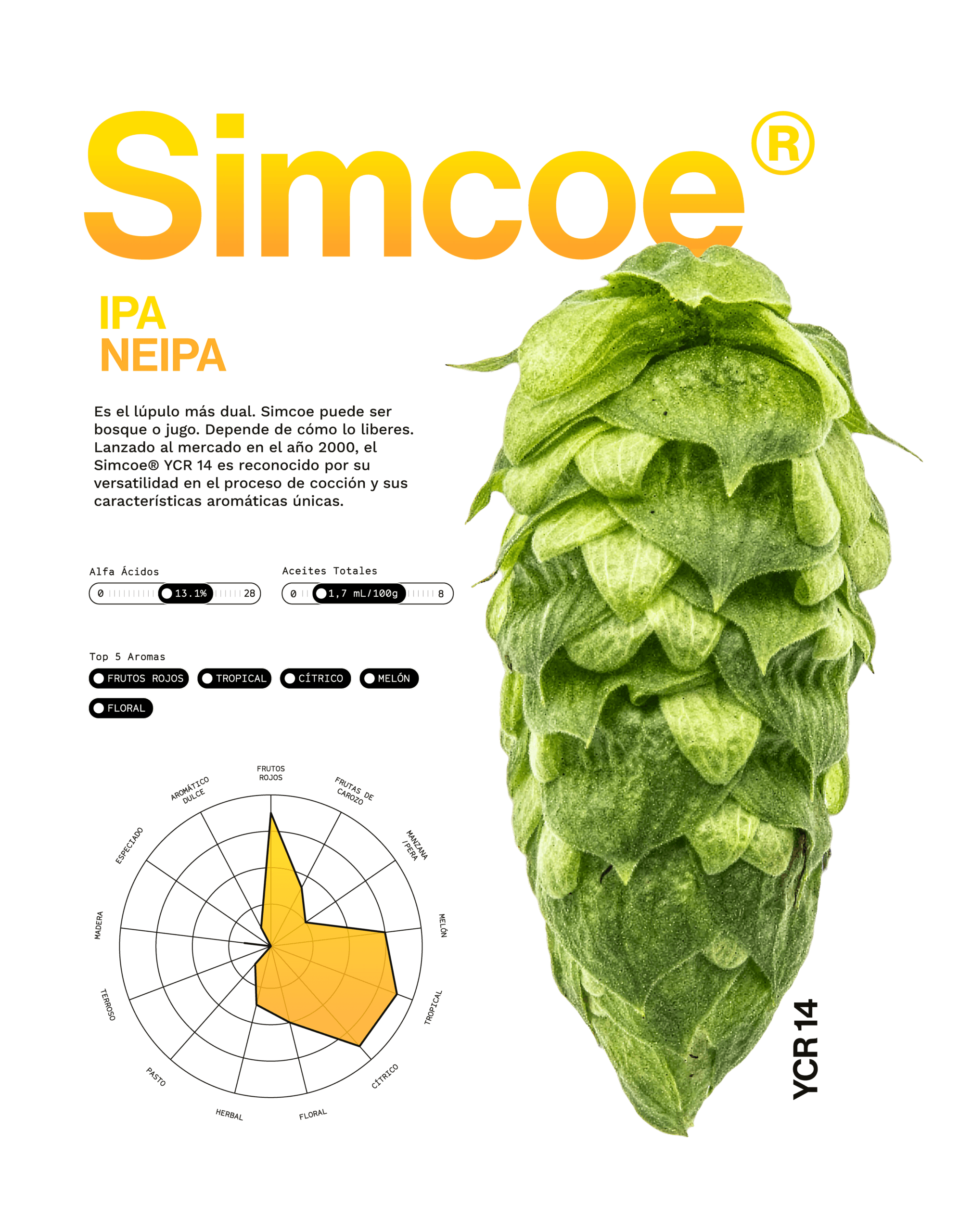 Lúpulo Simcoe