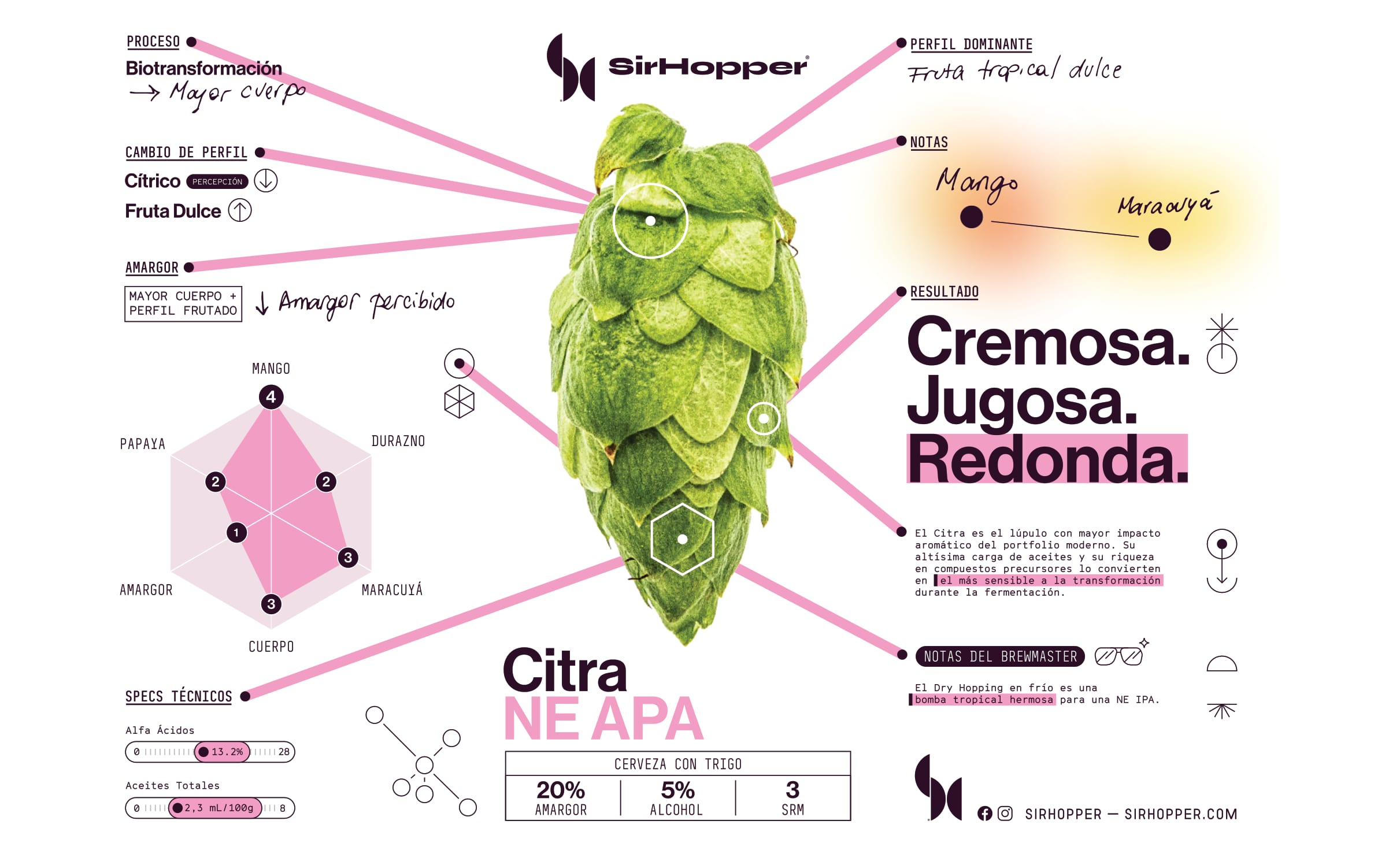 Lúpulo Citra — imagen 2